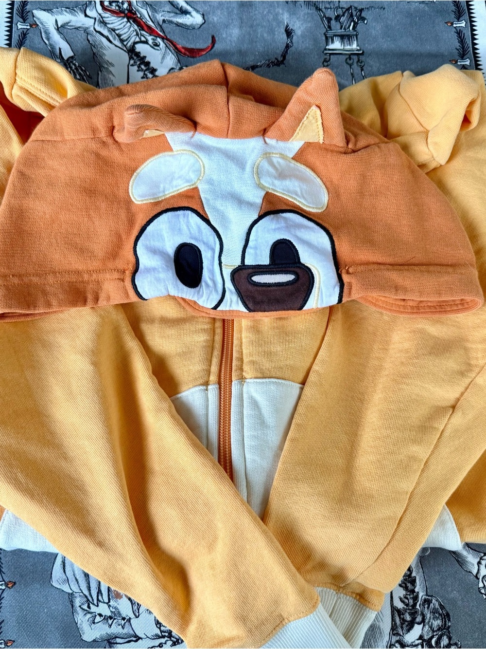 Hanna Disney Bingo Hoodie (Bluey), Youth size 12